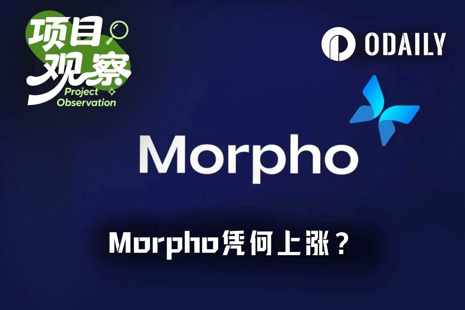 Morpho逆势翻倍挑战Aave：模块化借贷能否颠覆DeFi旧王？