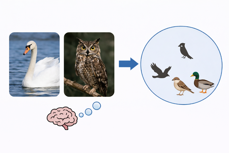 浙大Nature论文颠覆AI认知：模型越大，抽象思维越差？